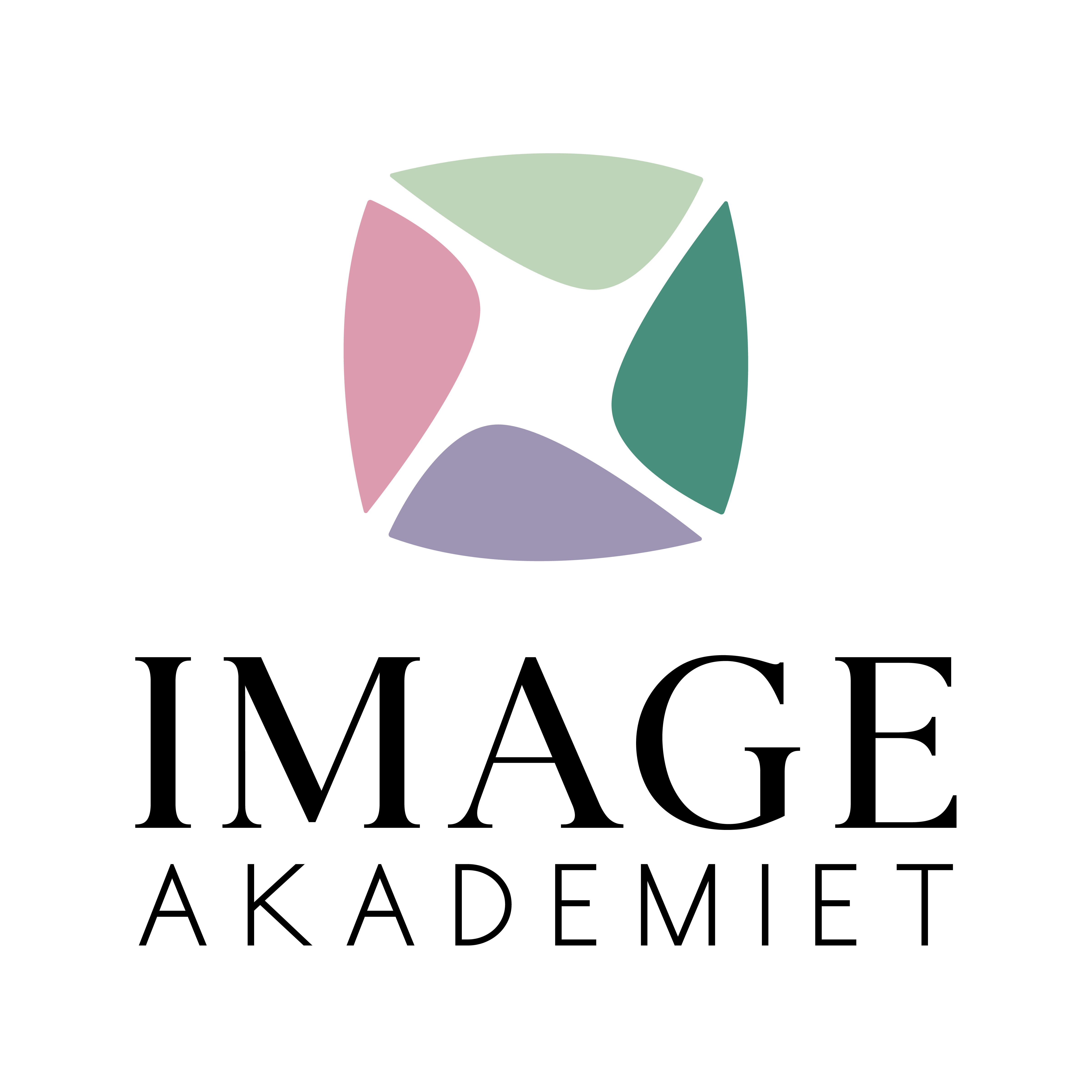 Imageakademiet logo